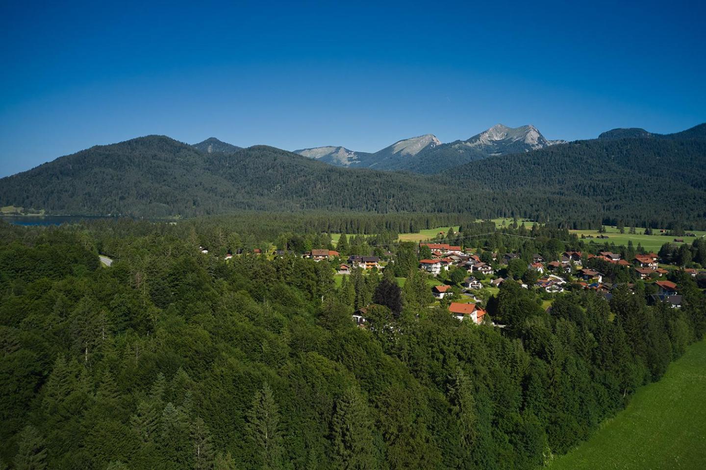 Zum Steingarten *