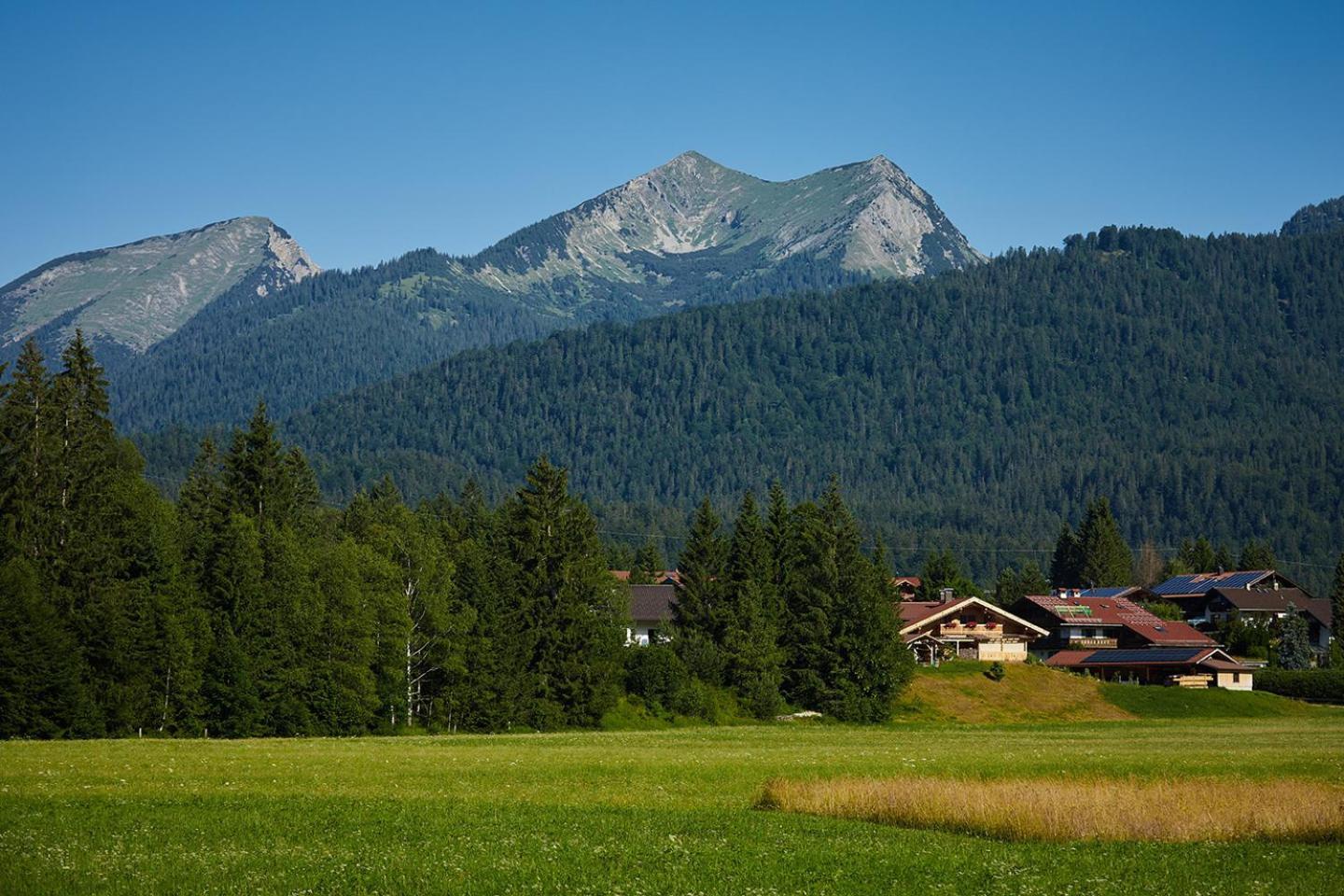 Zum Steingarten Apartment *
